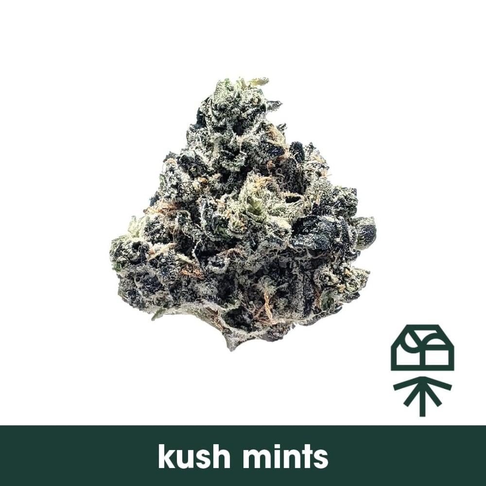 Grassroots Whole Flower 3.5g Triple Mints (I) 01954 TC 34.738% by Grassroots