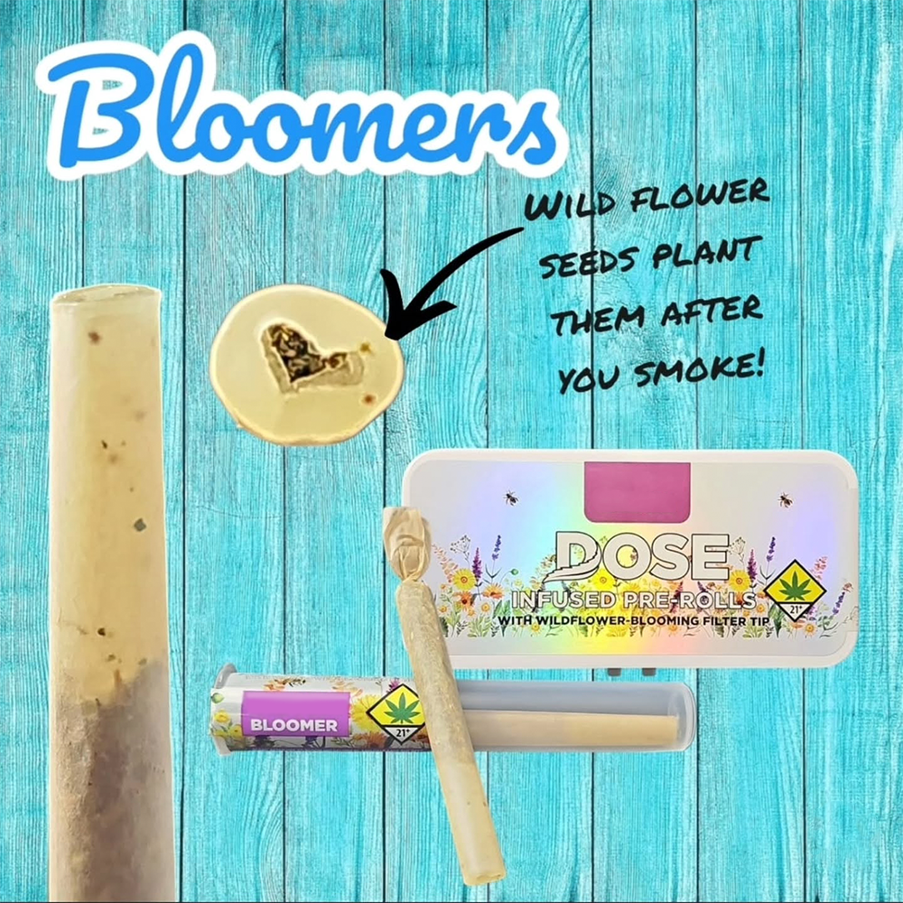 Borealis Bliss [1g] by Dose Oil