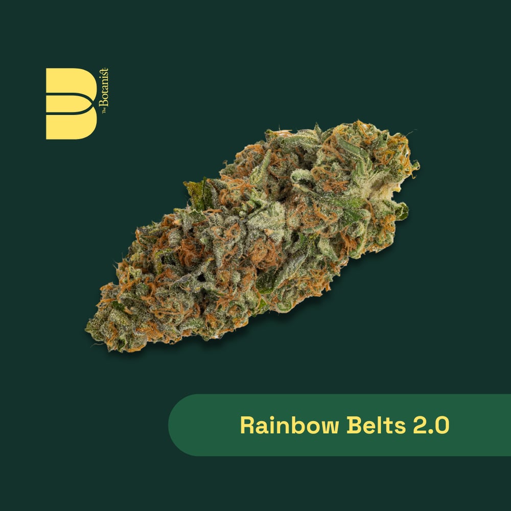 Rainbow Belts 2.0 by Botanist