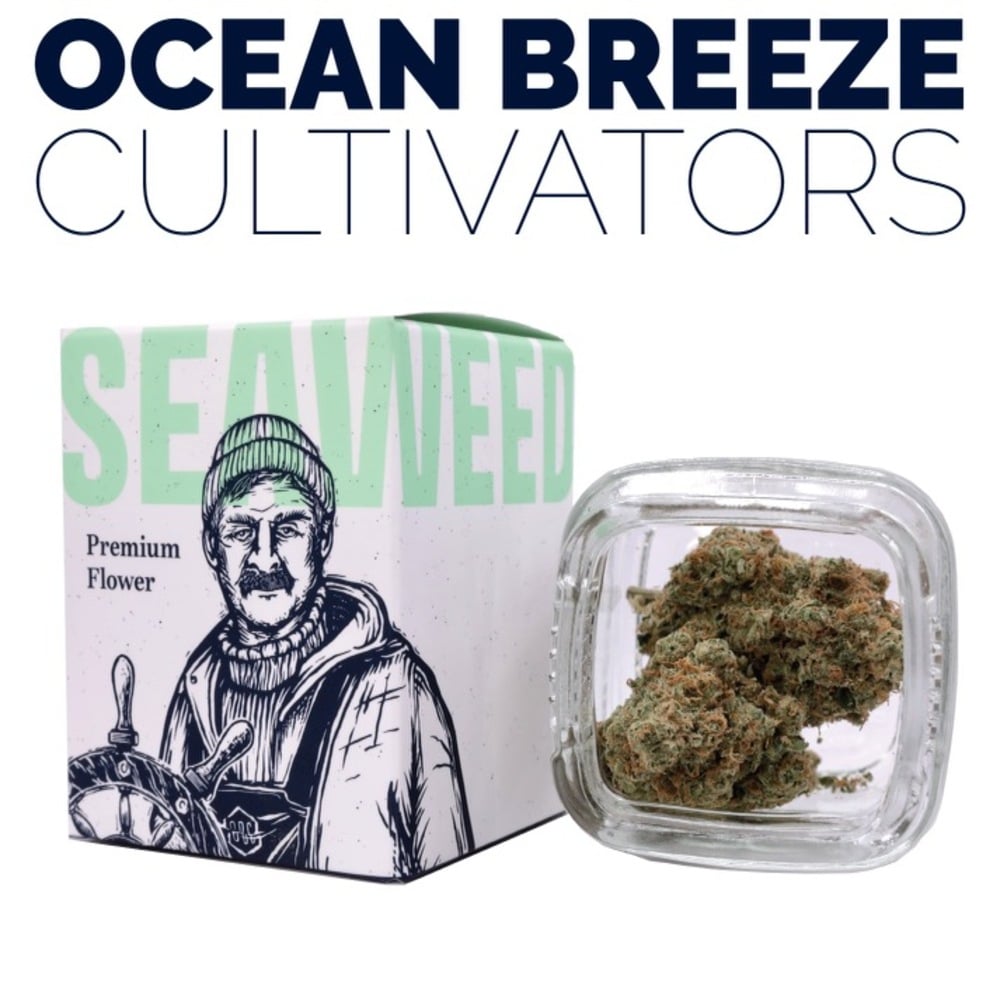 Bacio Gelato by Ocean Breeze
