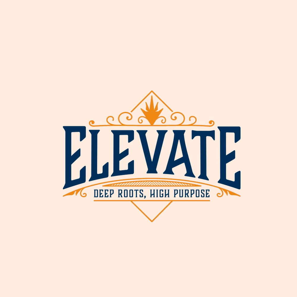 Vegas Bomb by Elevate