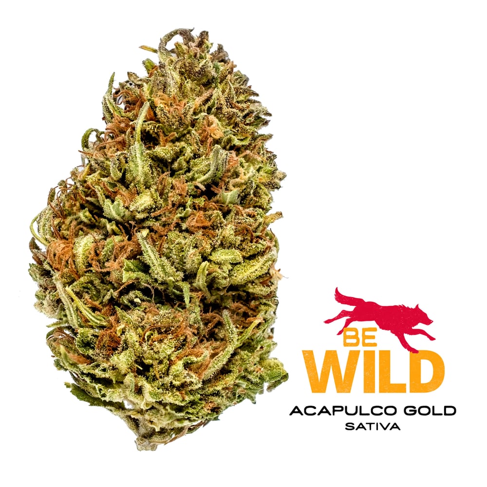 Acapulco Gold by Walden