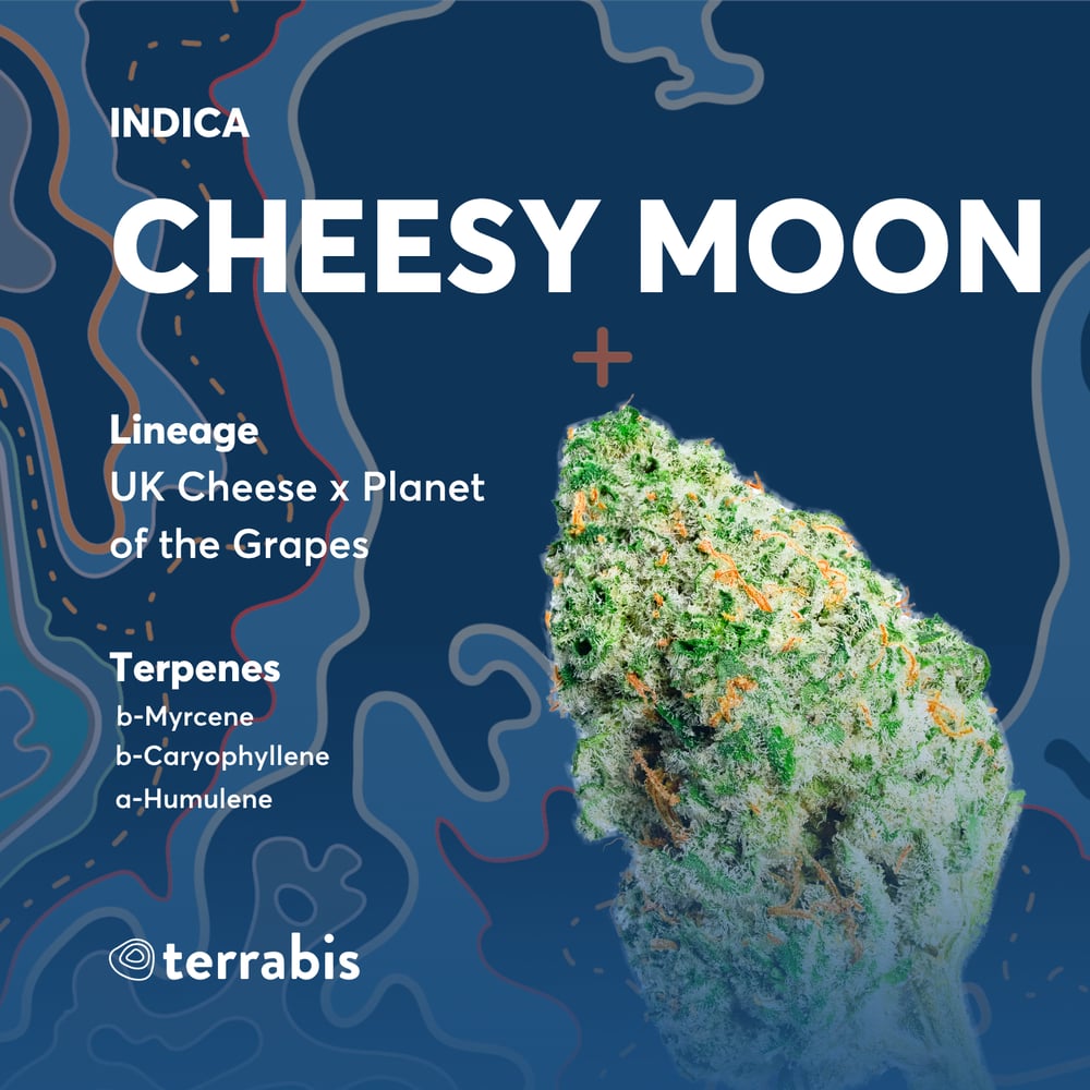 Cheesy Moon by Terrabis