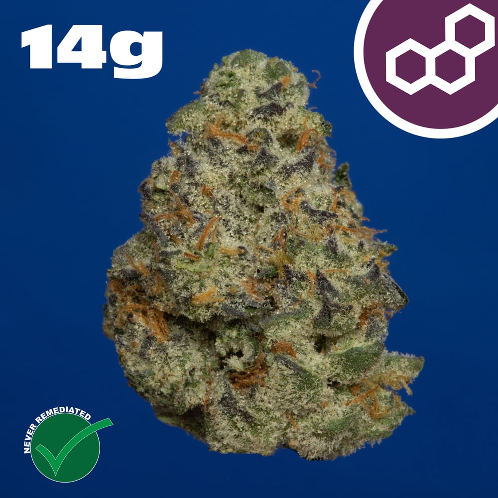 Plasma Gas 14g 42054 by Theraplant