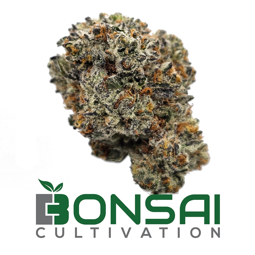 Dante's Inferno by Bonsai Cultivation