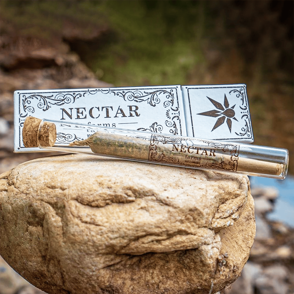 Catpiss x Grape Cream Cake [1g] by Nectar Farms