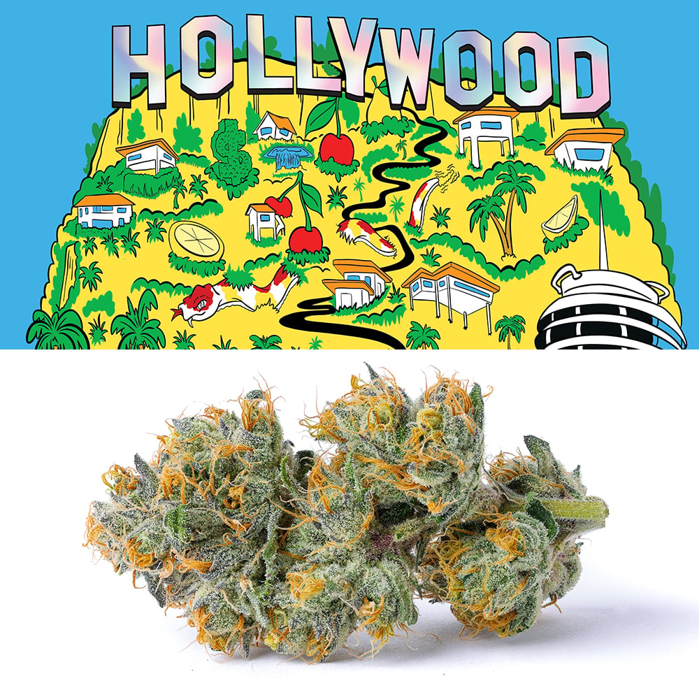 Hollywood [3.54g] by Cookies