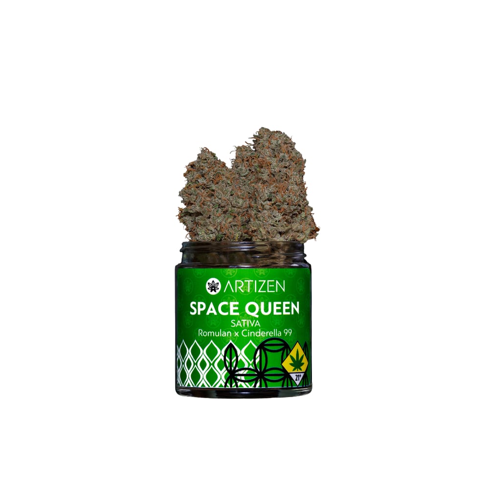 Space Queen by Artizen