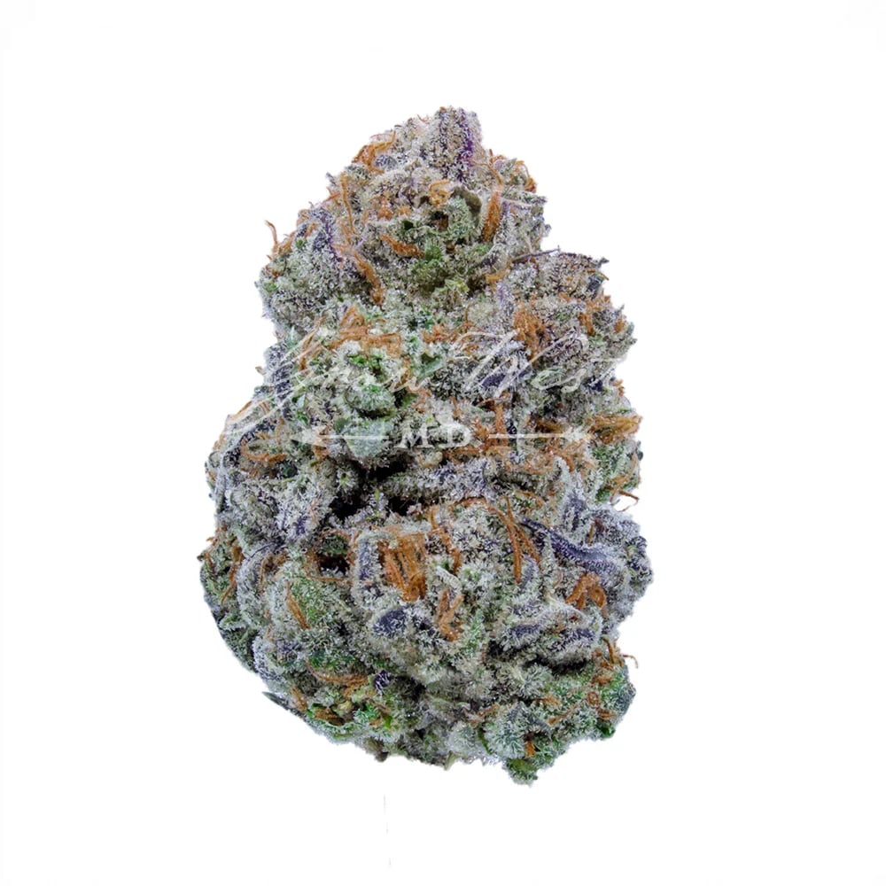 Southwest Stomper x William's Wonder by Grow West