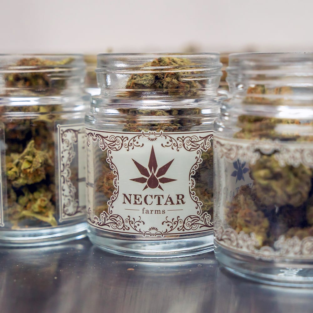Vanilla Bean by Nectar Farms