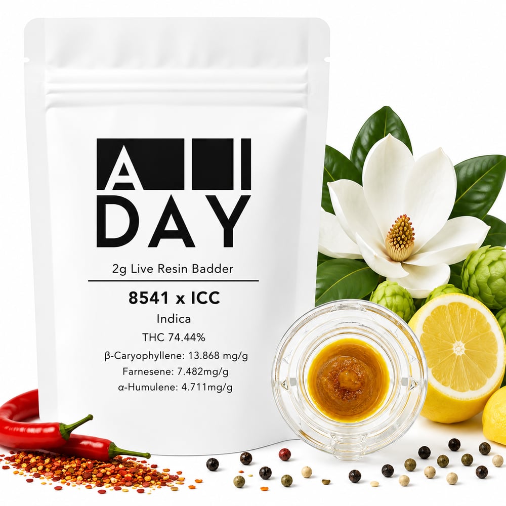 8541 x ICC [2g] by All Day