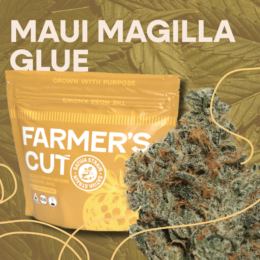 Maui Magilla Glue by Farmer's Cut