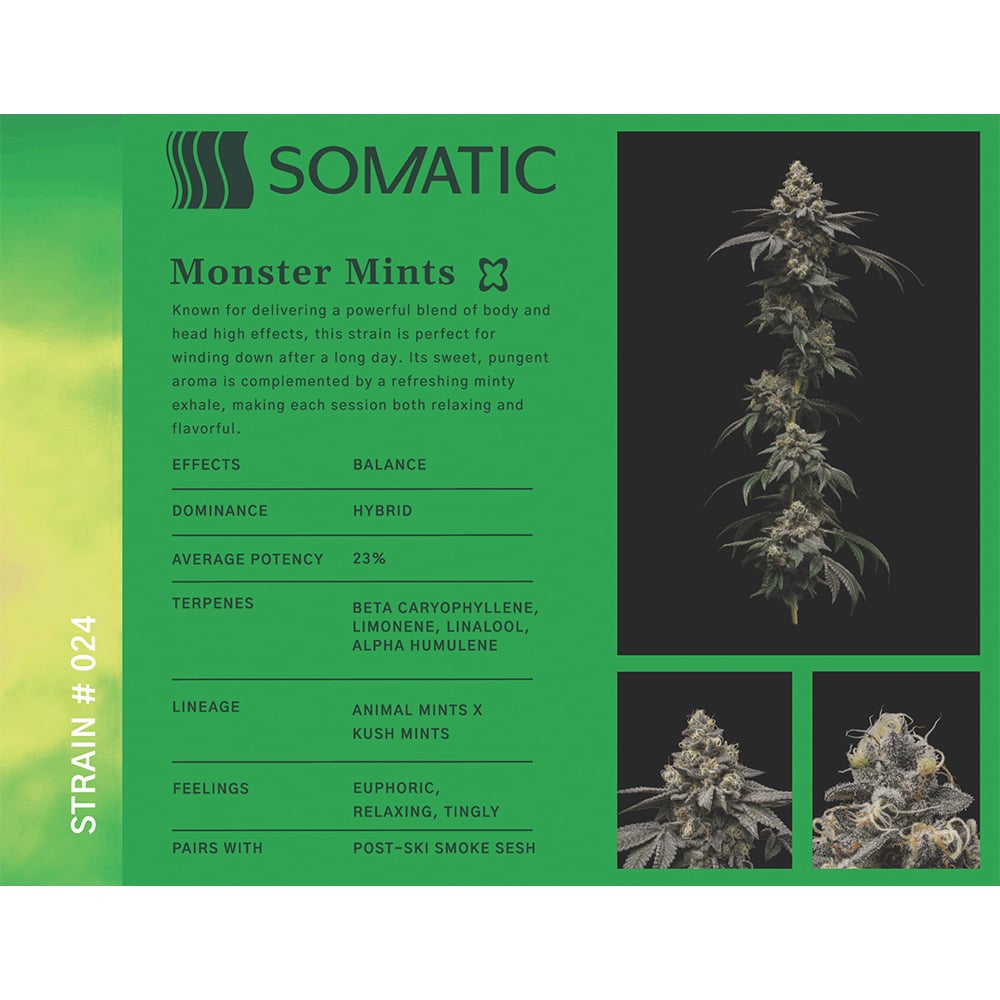 Monster Mintz by Somatic