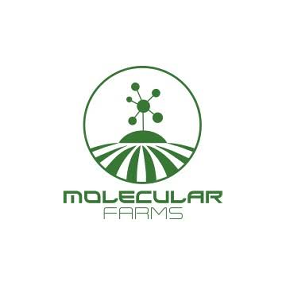 Crushed Ice by Molecular Farms
