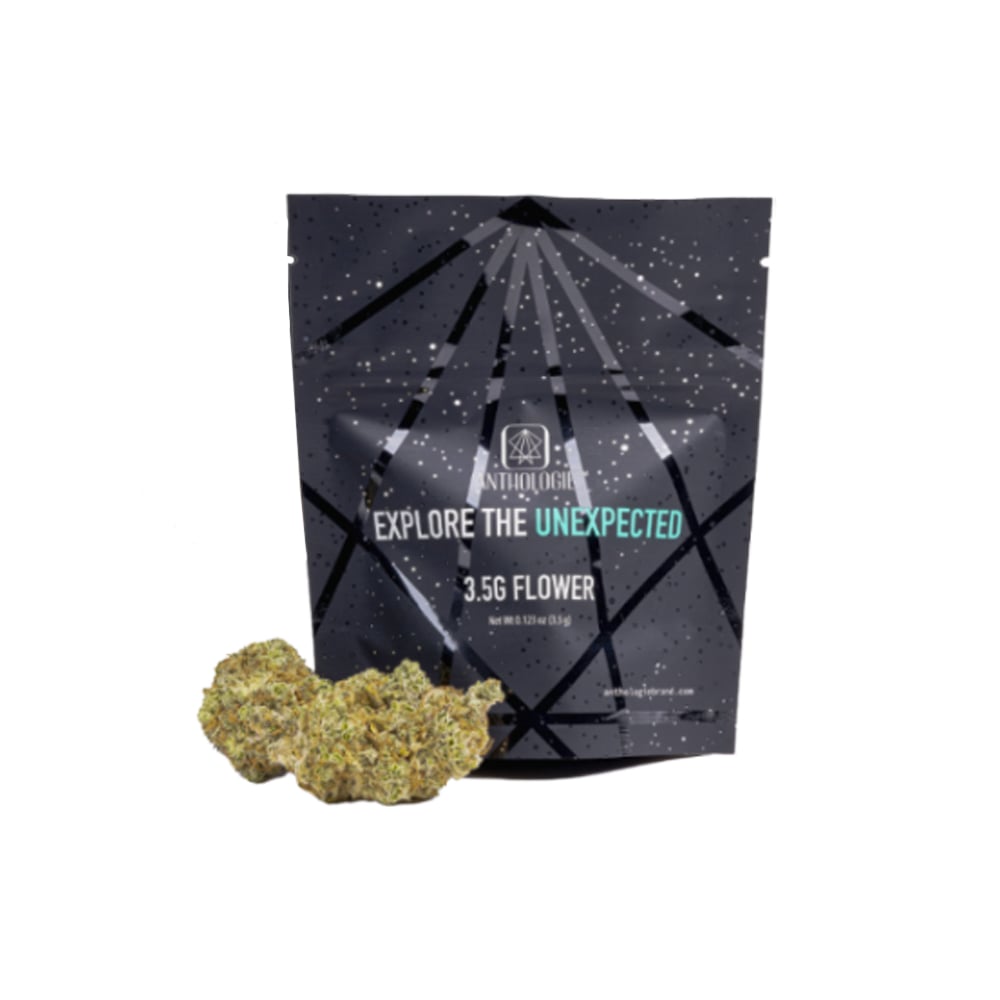 Alien Milkshake by Anthologie
