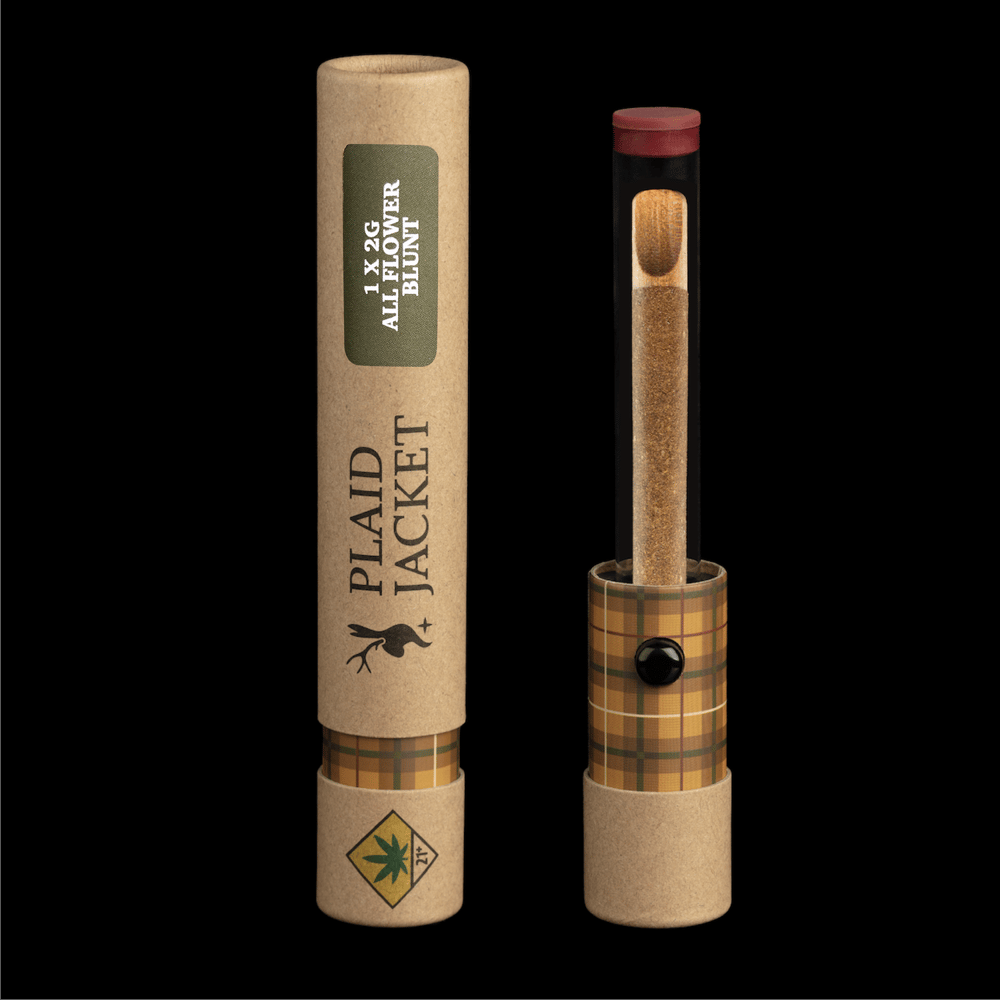 Zeal [2g] by Plaid Jacket