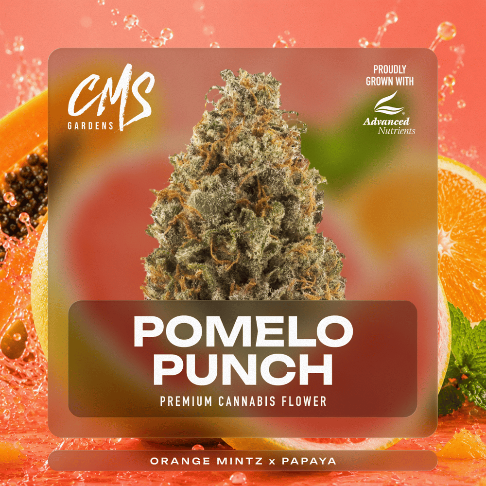 Pomelo Punch by CMS Gardens