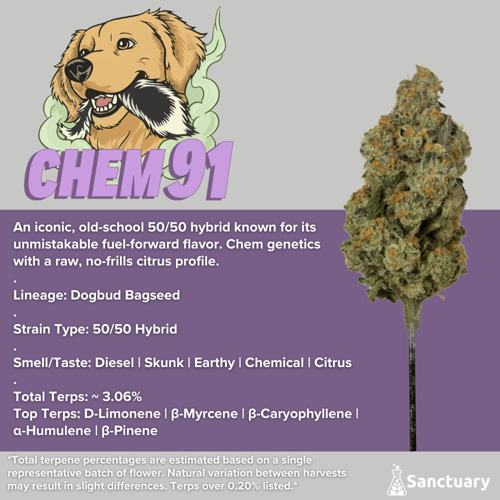 Whole Buds - Chem 91 by Sanctuary