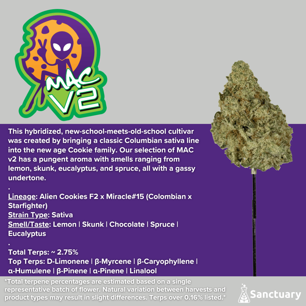 Whole Buds - MAC v2 by Sanctuary