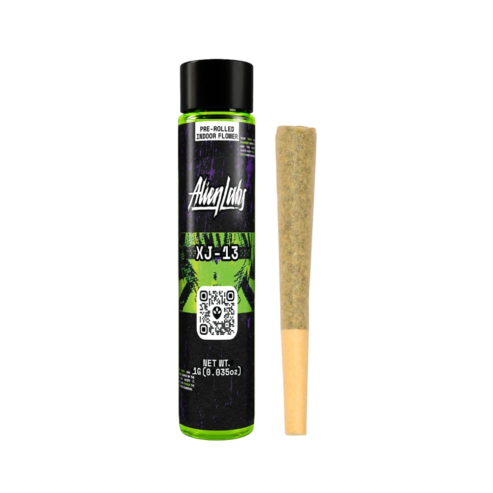XJ-13 [1g] by Alien Labs
