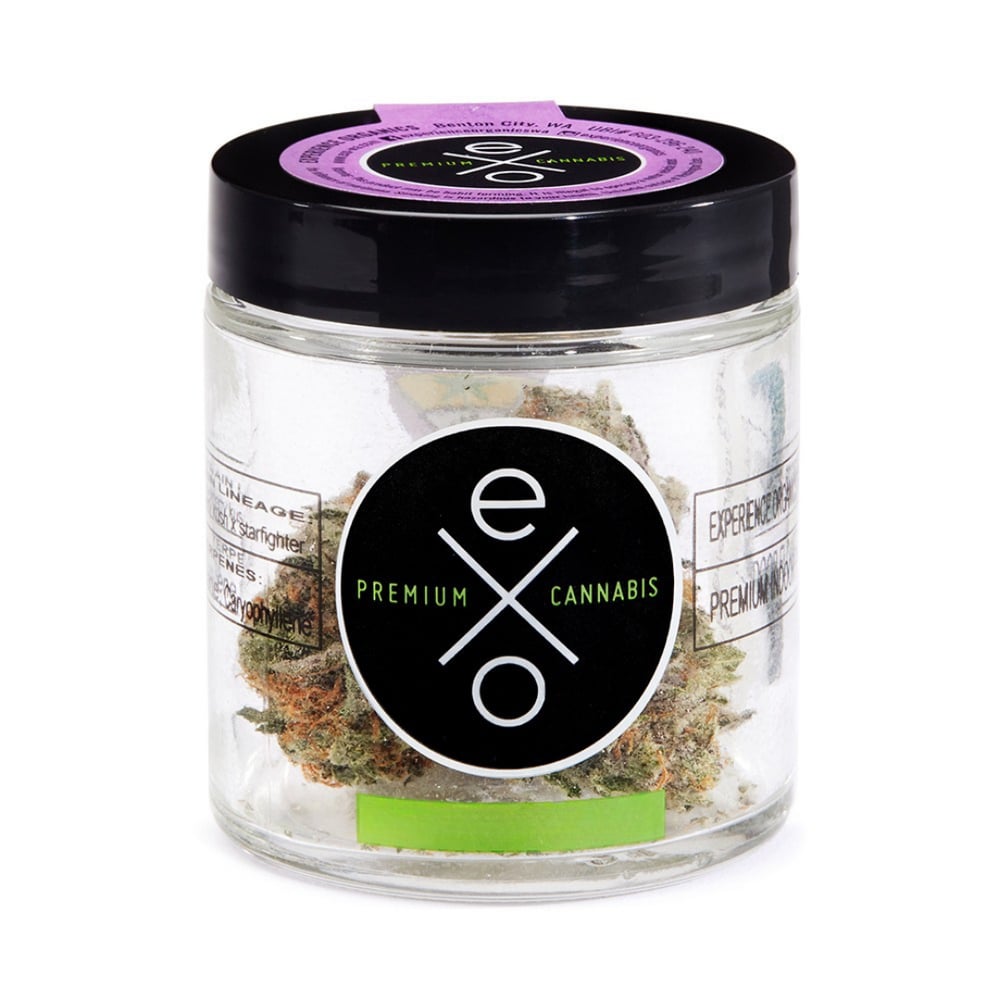Cheddar Cheeze by Experience Organics