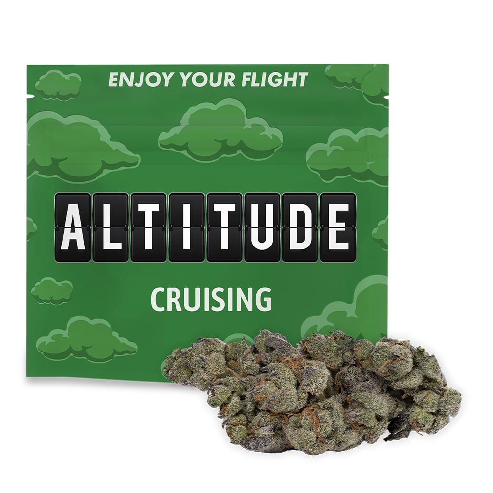 Yazuka by Altitude