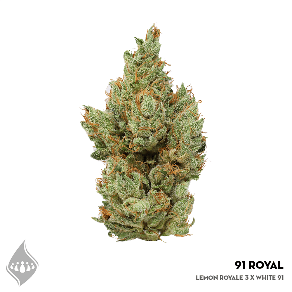 91 Royale by Parea