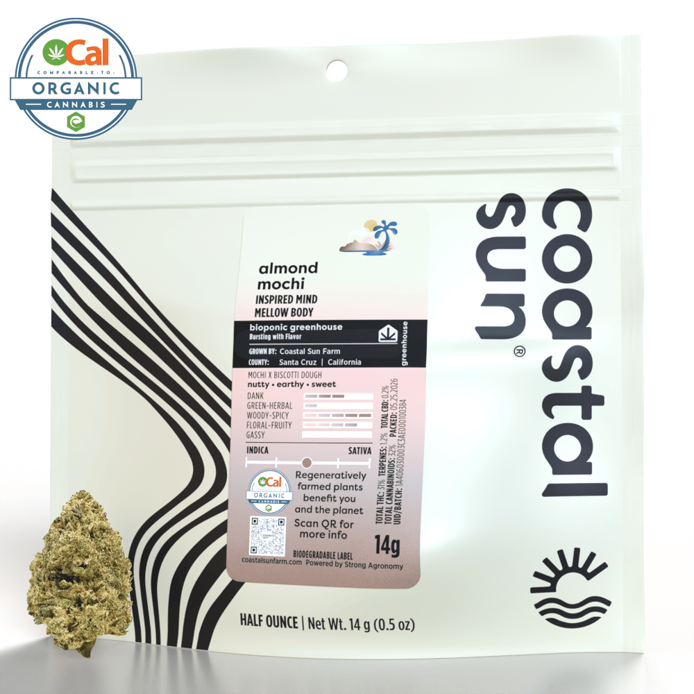 Almond Mochi by Coastal Sun