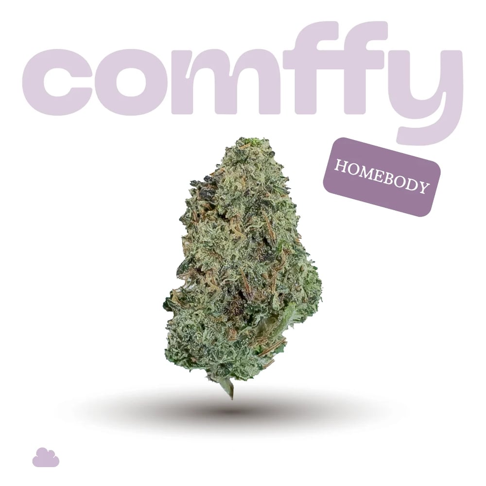 Comffy | Flower 7g | Homebody 00265 by comffy