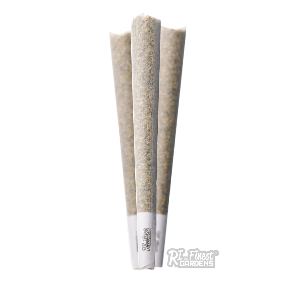 Billy Idle [1g] by RI Finest Gardens