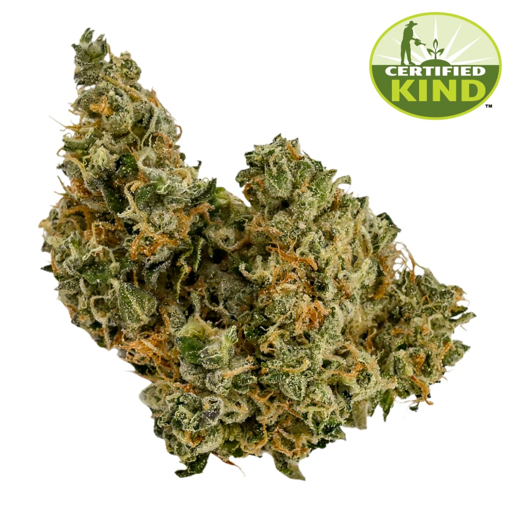Jungle Garlic by FarmaceuticalRx