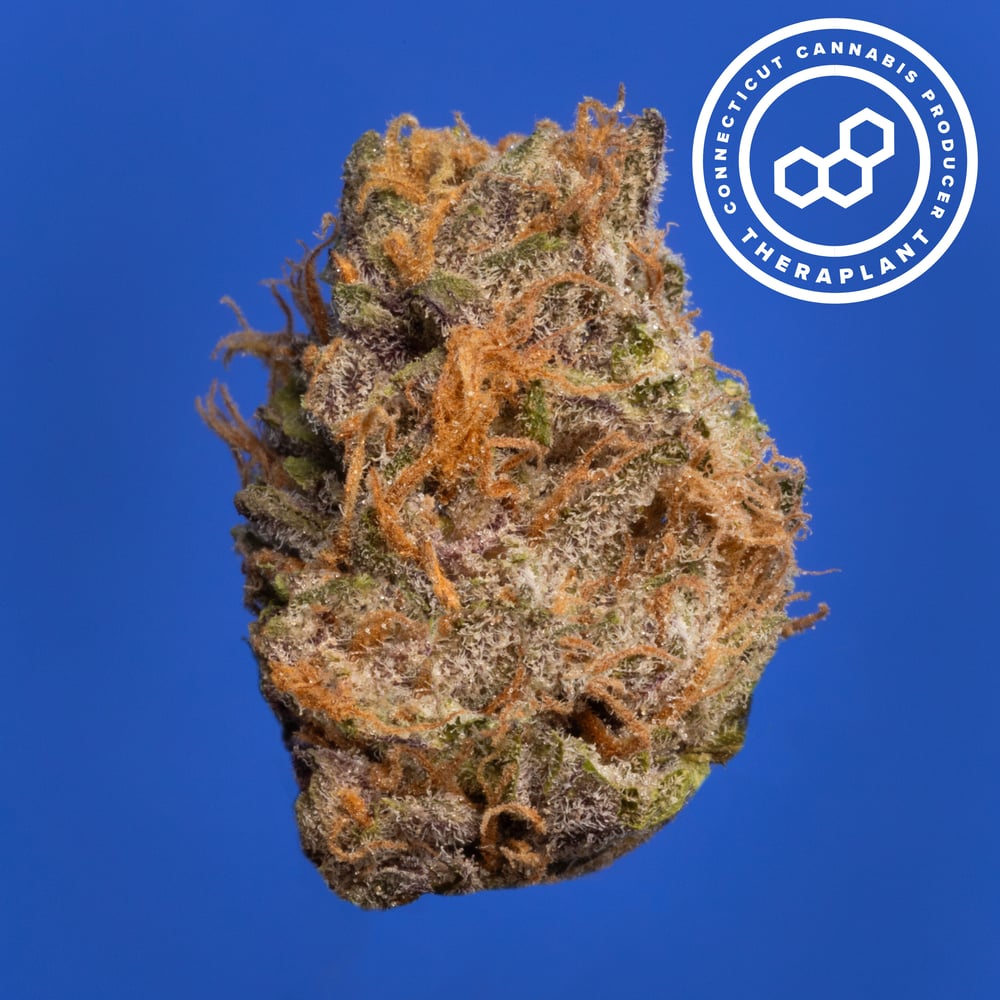 D Inferno 4502 by Theraplant