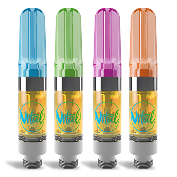 1:1 Jet Pack by Vital Full of Life