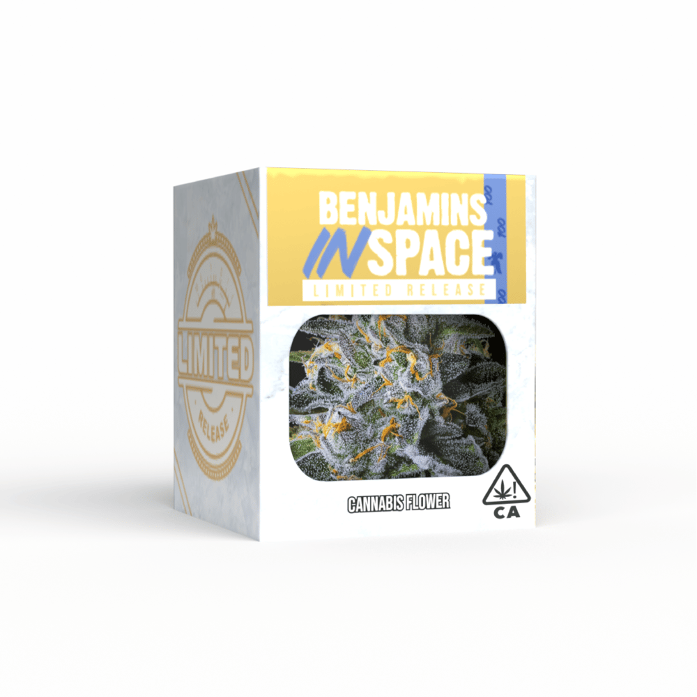 Benjamins In Space by Decibel Gardens
