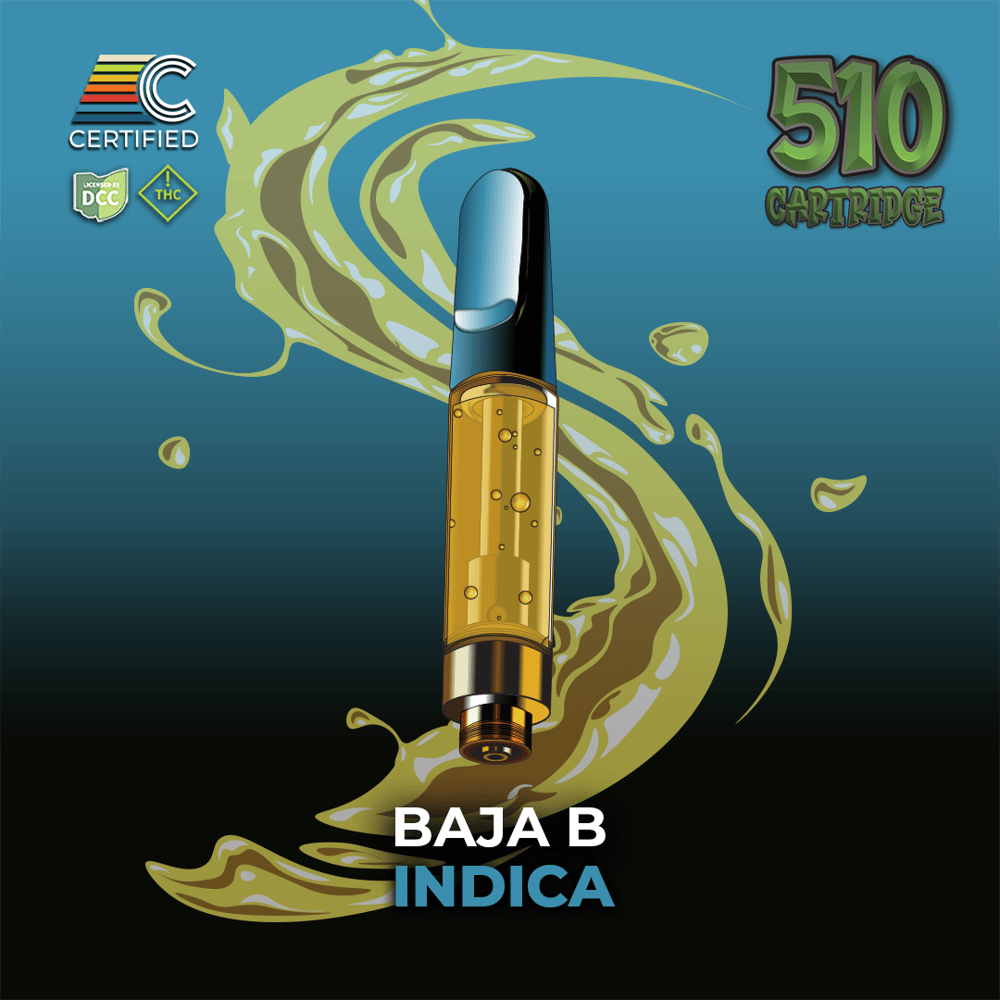 Baja B by CERTIFIED