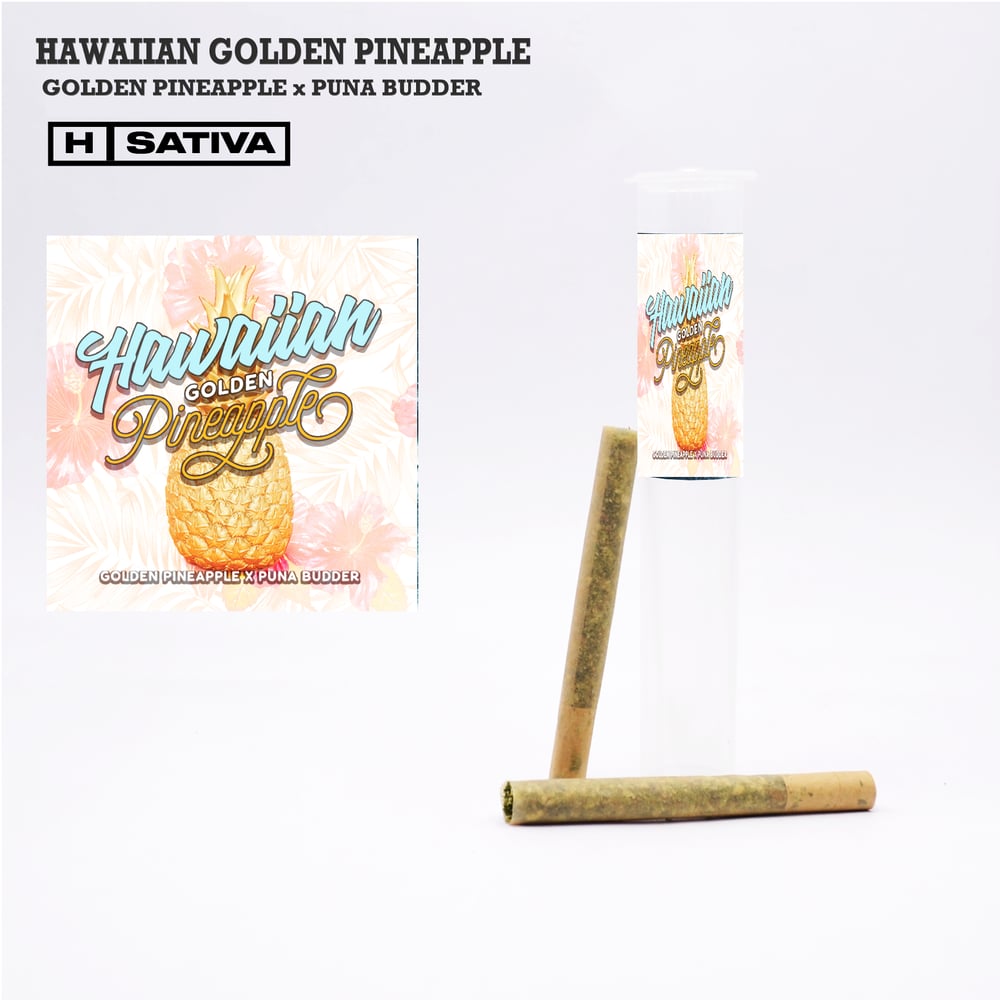 Hawaiian Golden Pineapple [.5g] by Phat Panda