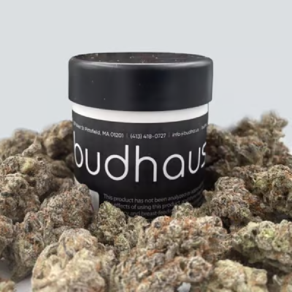 Agent Orange by Budhaus
