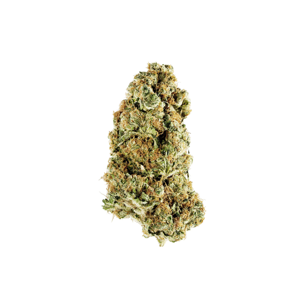 Animal Rntz by Redecan