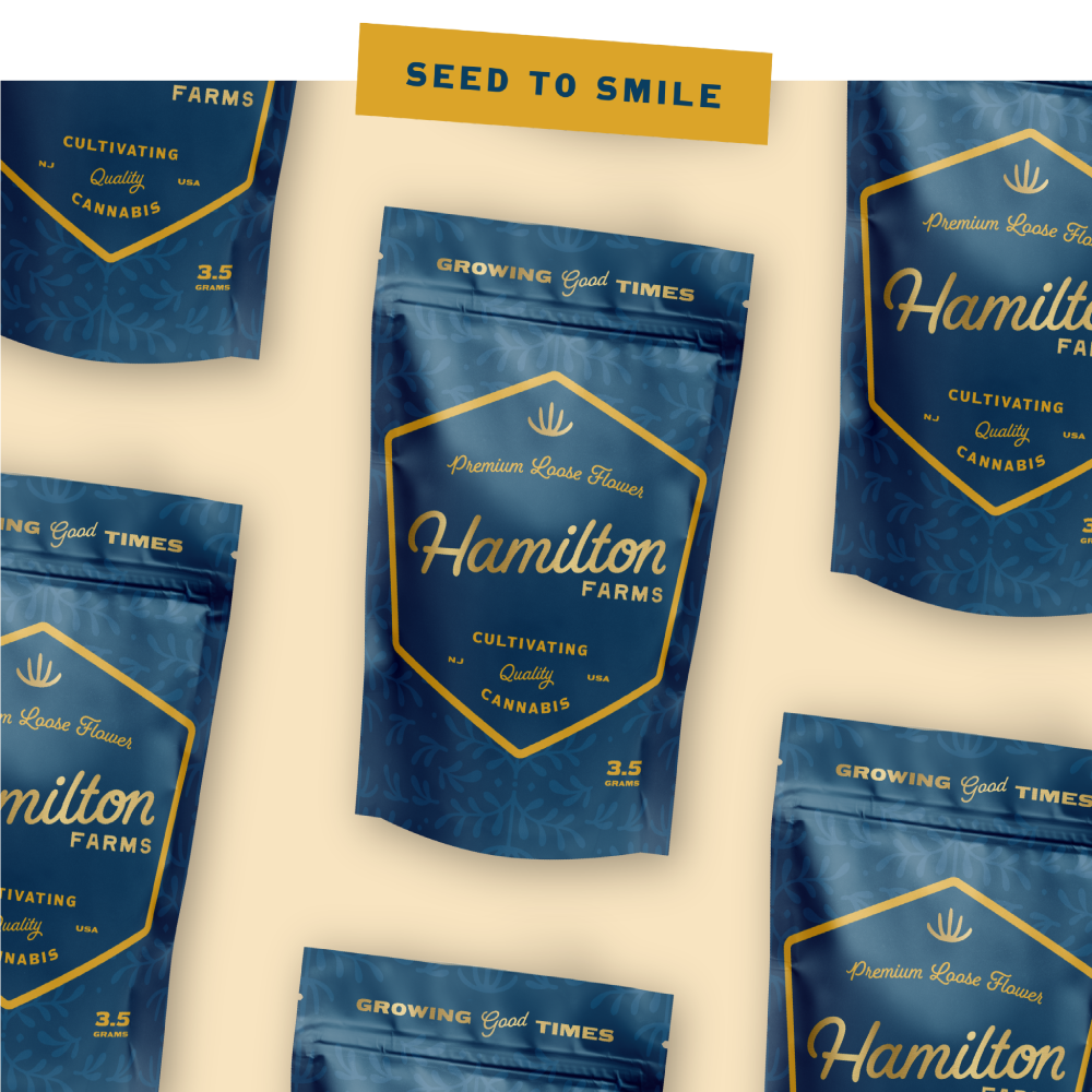 Y2K by Hamilton Farms