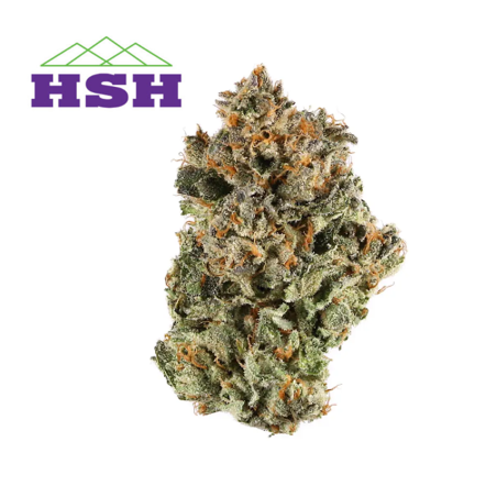 91 Punch by High Sierra Holistics (HSH)