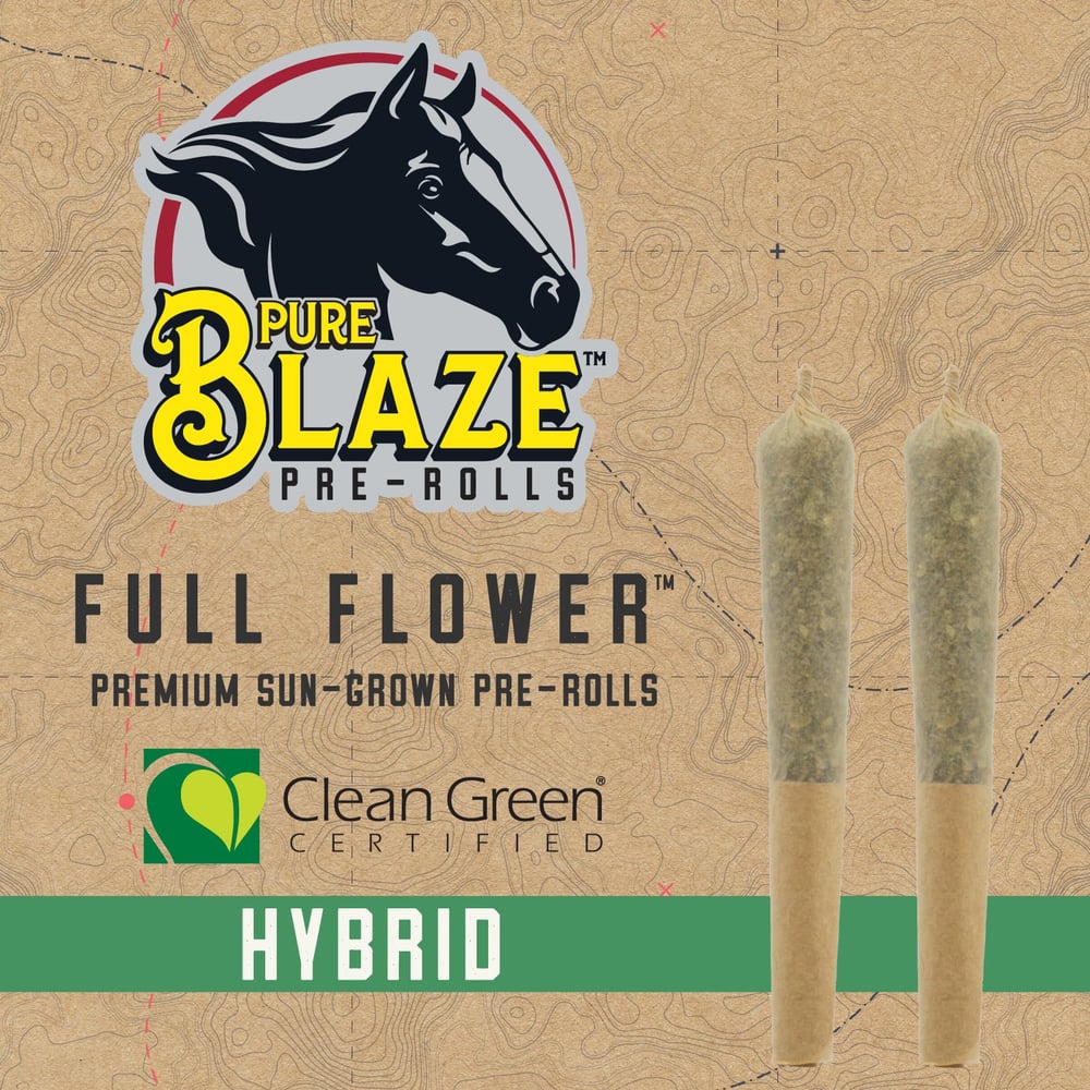 Apple Fritter 2 Pk 0.5g [1g total] by Pure Blaze