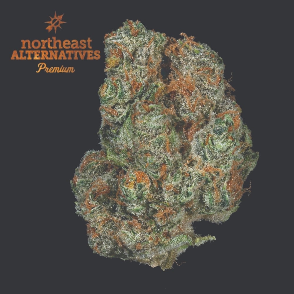 Pineapple Express by Northeast Alternatives