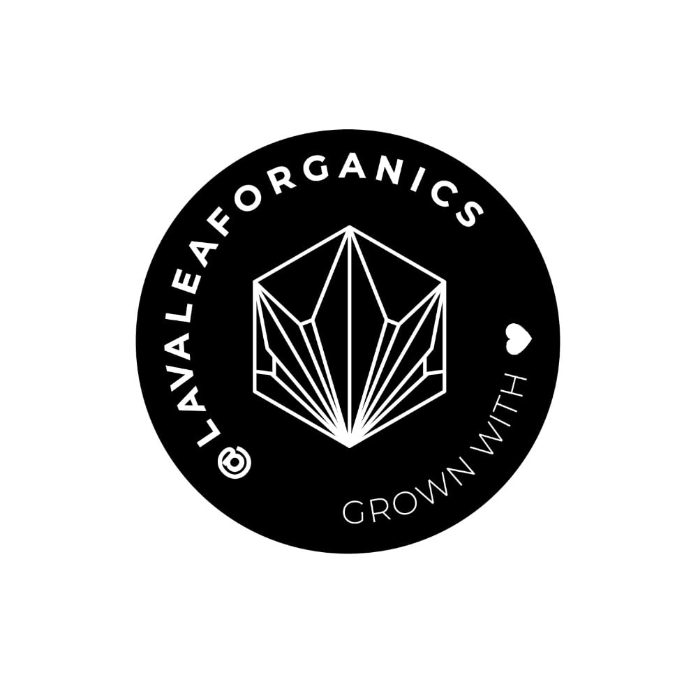 Amnesia Haze by Lava Leaf Organics