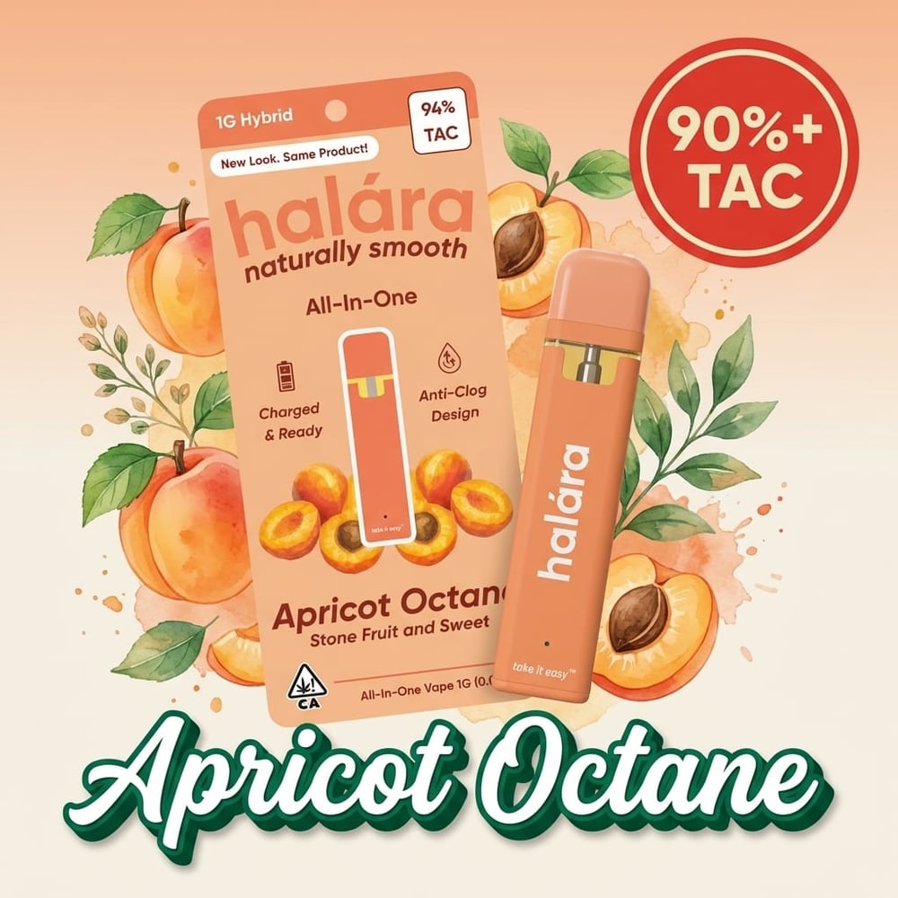 Apricot Octane AIO by Halara
