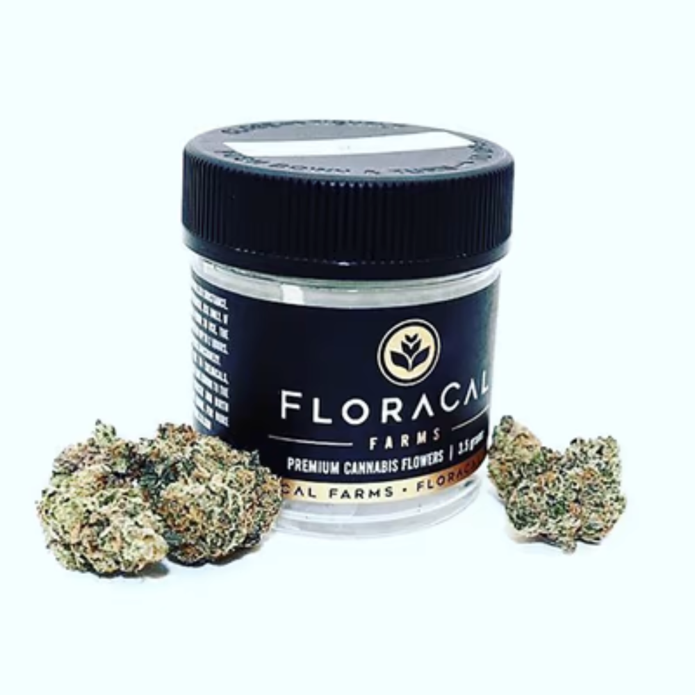Da Funk by FloraCal™