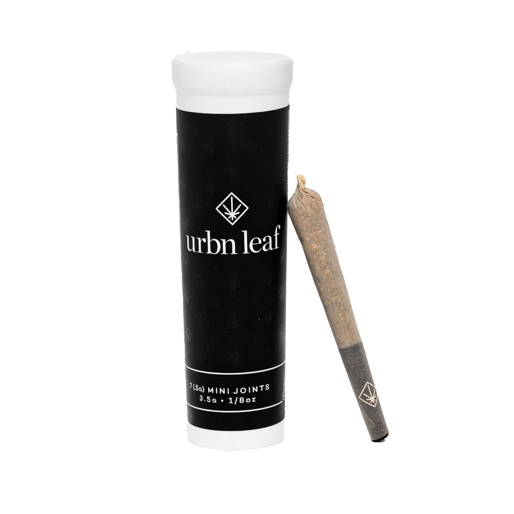 Ze Pie [.5g] by Urbn Leaf