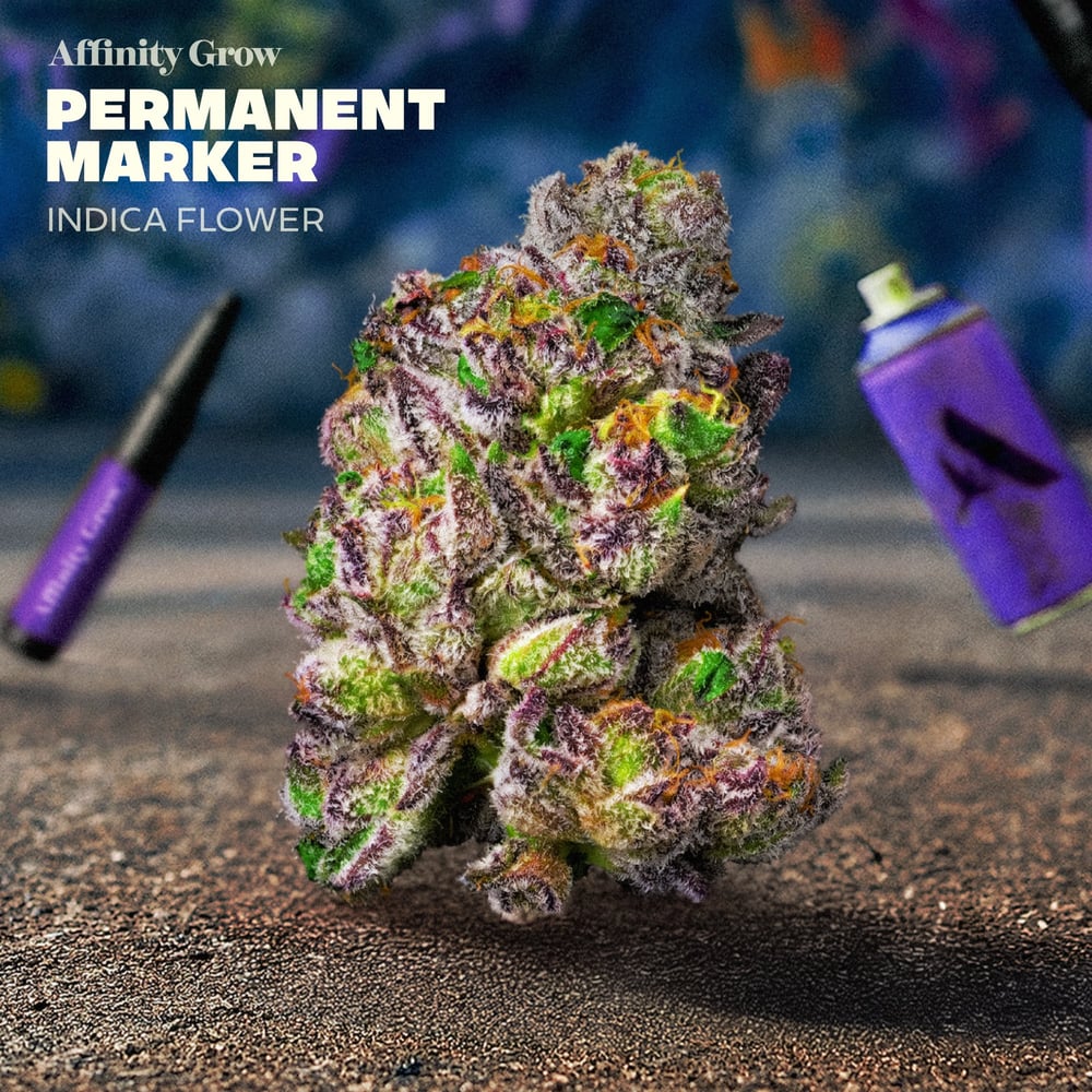 Permanent Marker Flower T24.71% I 01010 by Affinity Grow