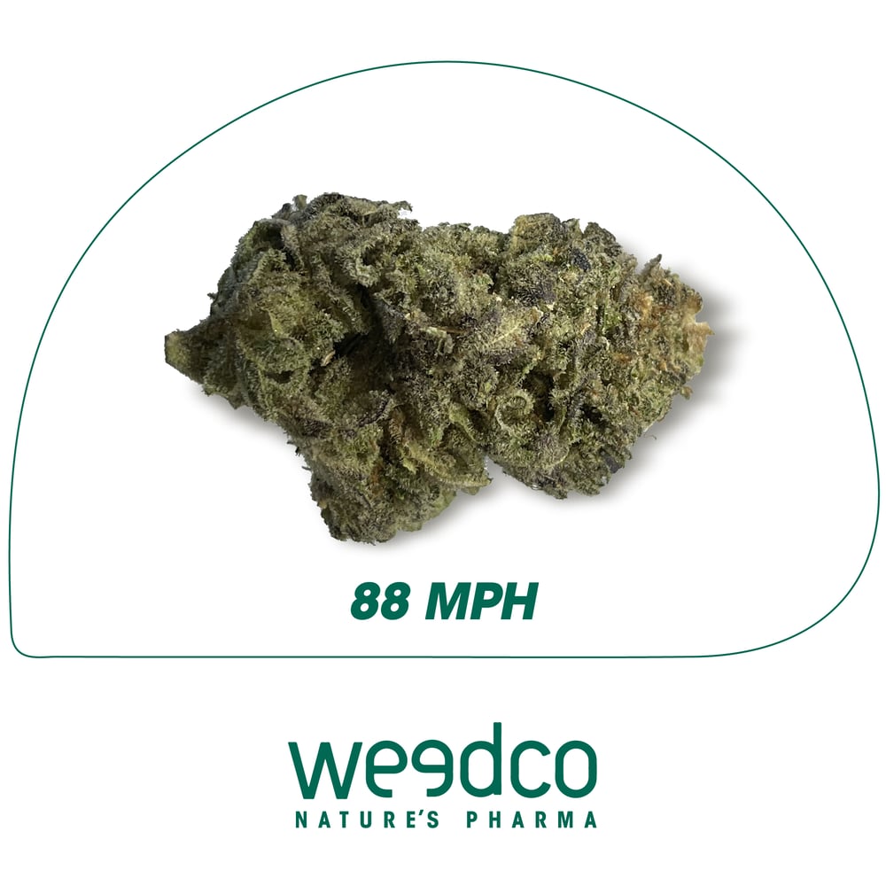 88 MPH - High Potency by OMG! - PR