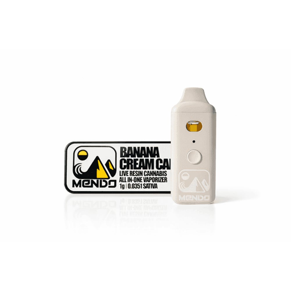 Banana Cream Cake [1g] by Mendo