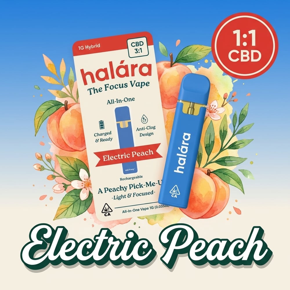 3:1 Electric Peach by Halara